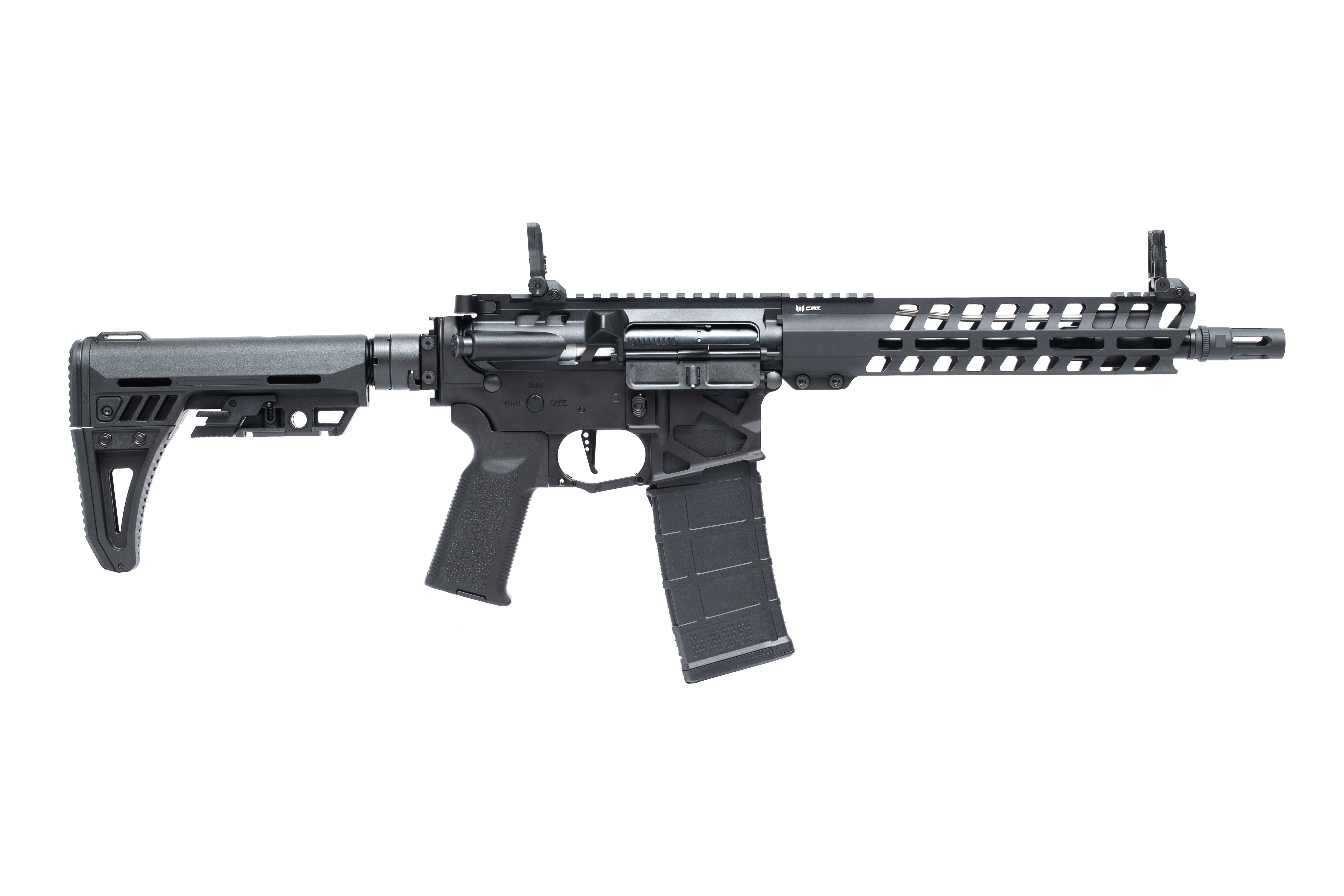 C.A.T. AR-15 Legend 10