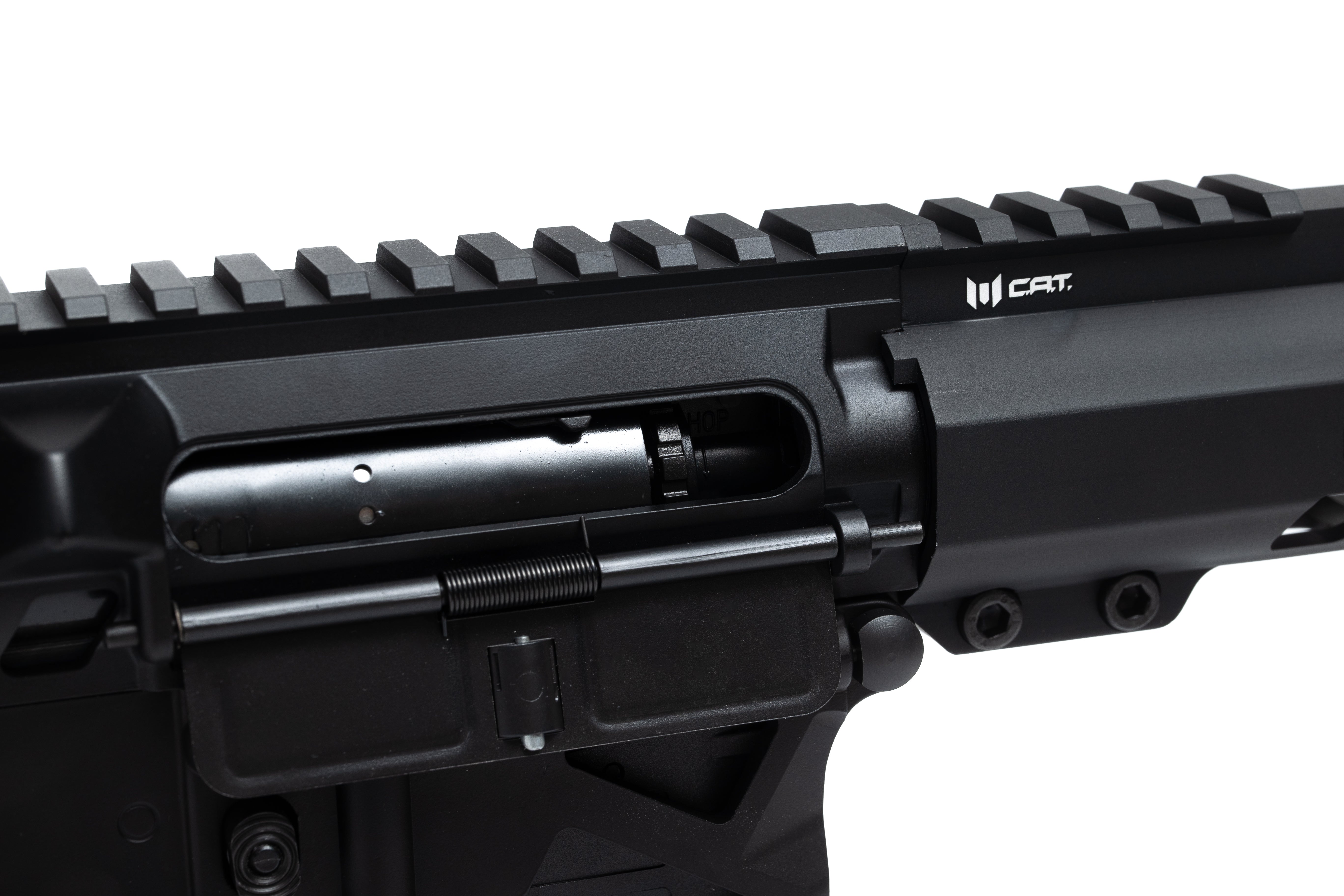 C.A.T. AR-15 Legend 10