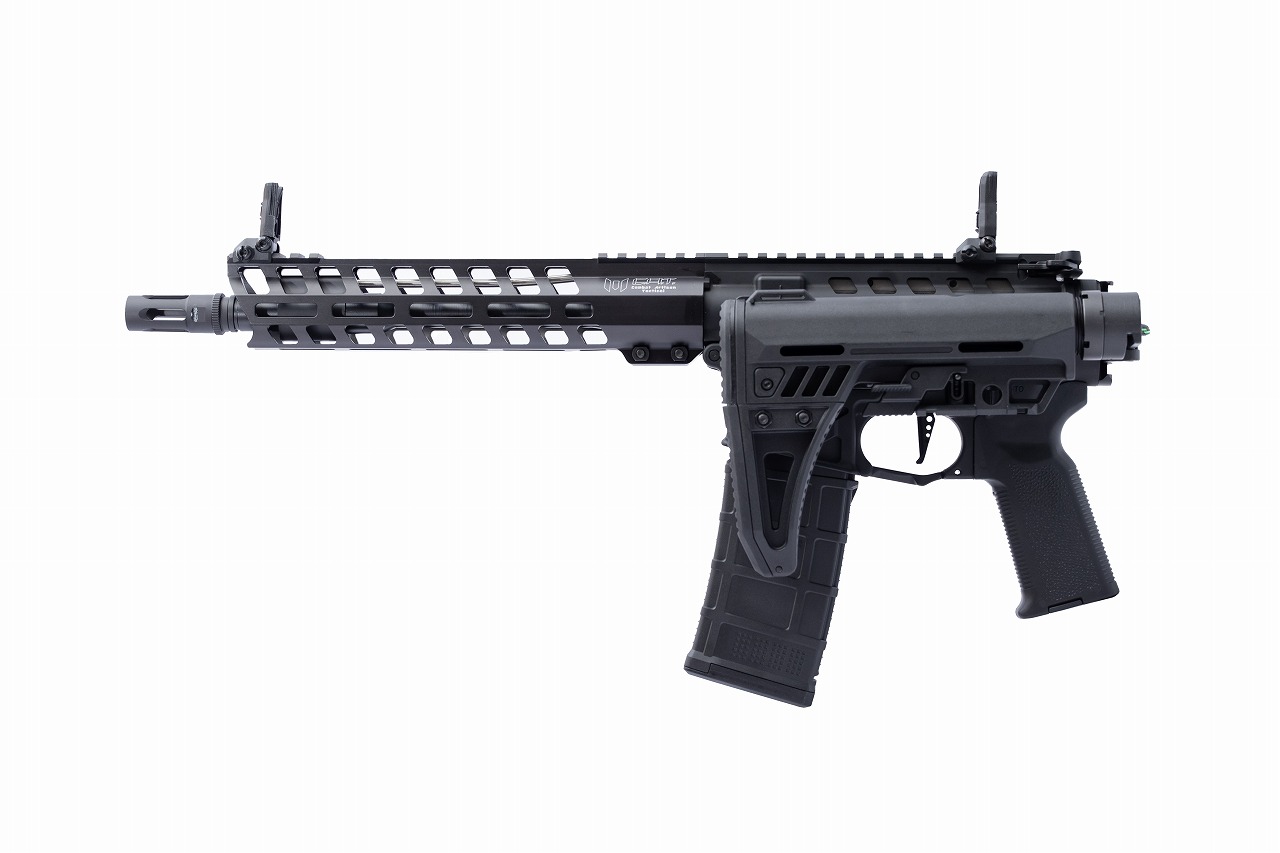 AIRSOFT97 沖縄本店 通販部 / C.A.T. AR-15 Legend 10